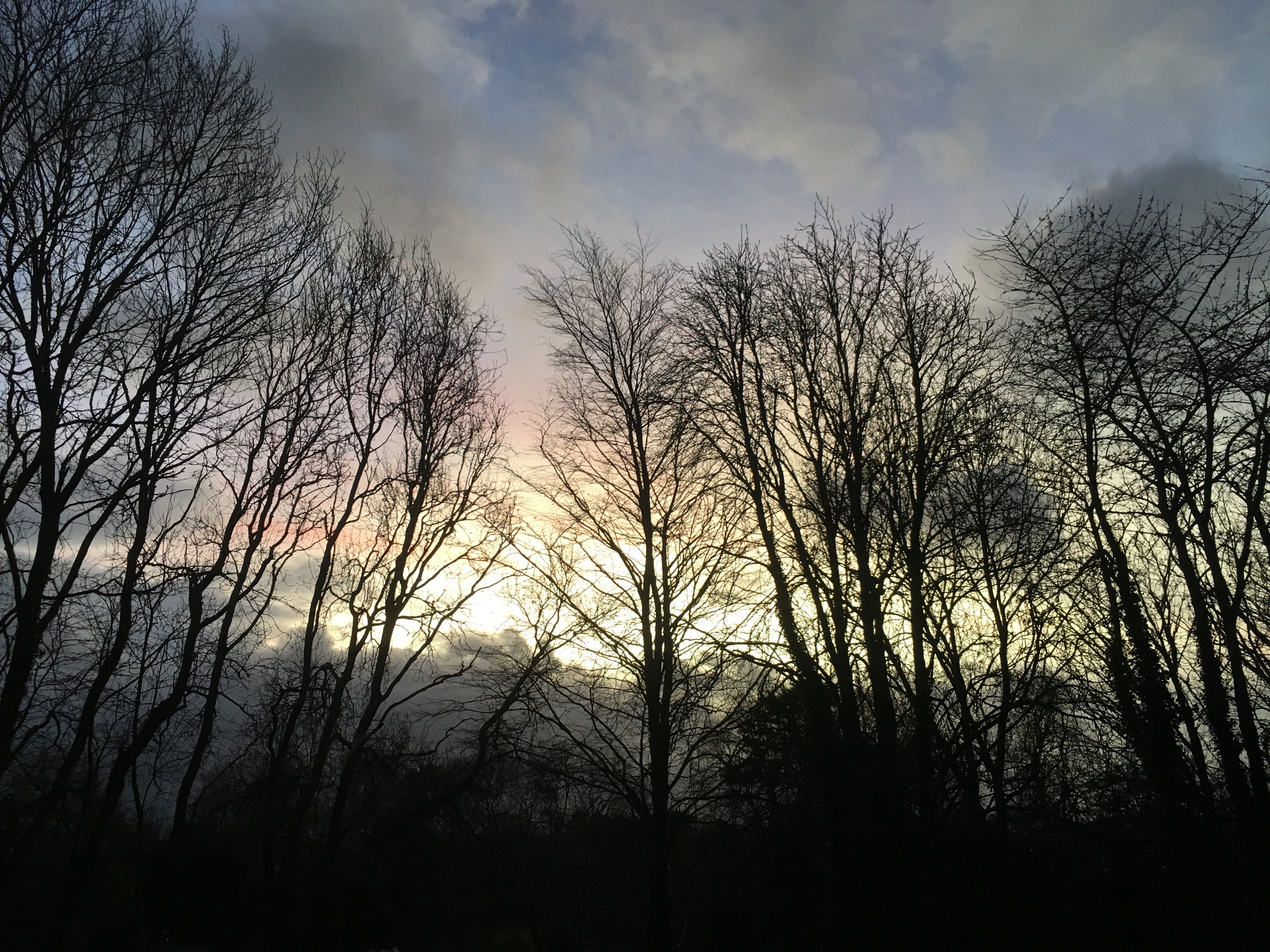 Solstice – Gathering the Light