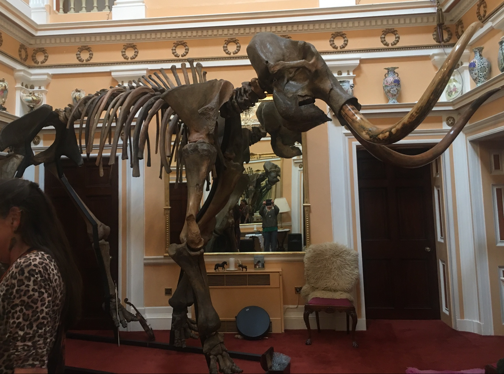 Dreaming with the Mammoth Bones