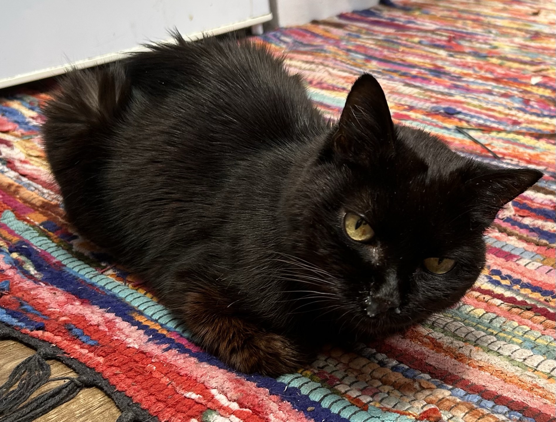 A Miracle in the Mayhem