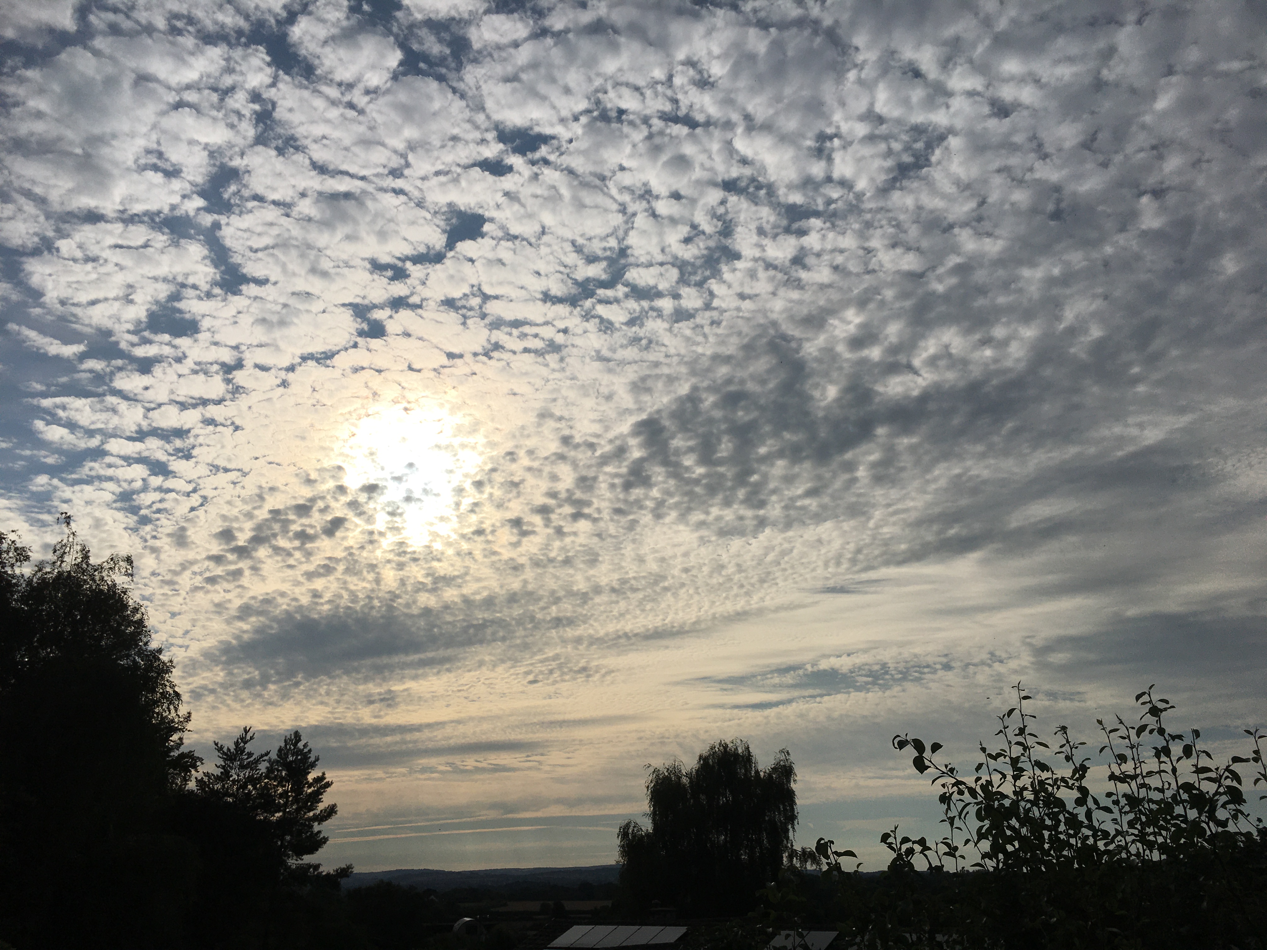 Liberating Your Authentic Voice