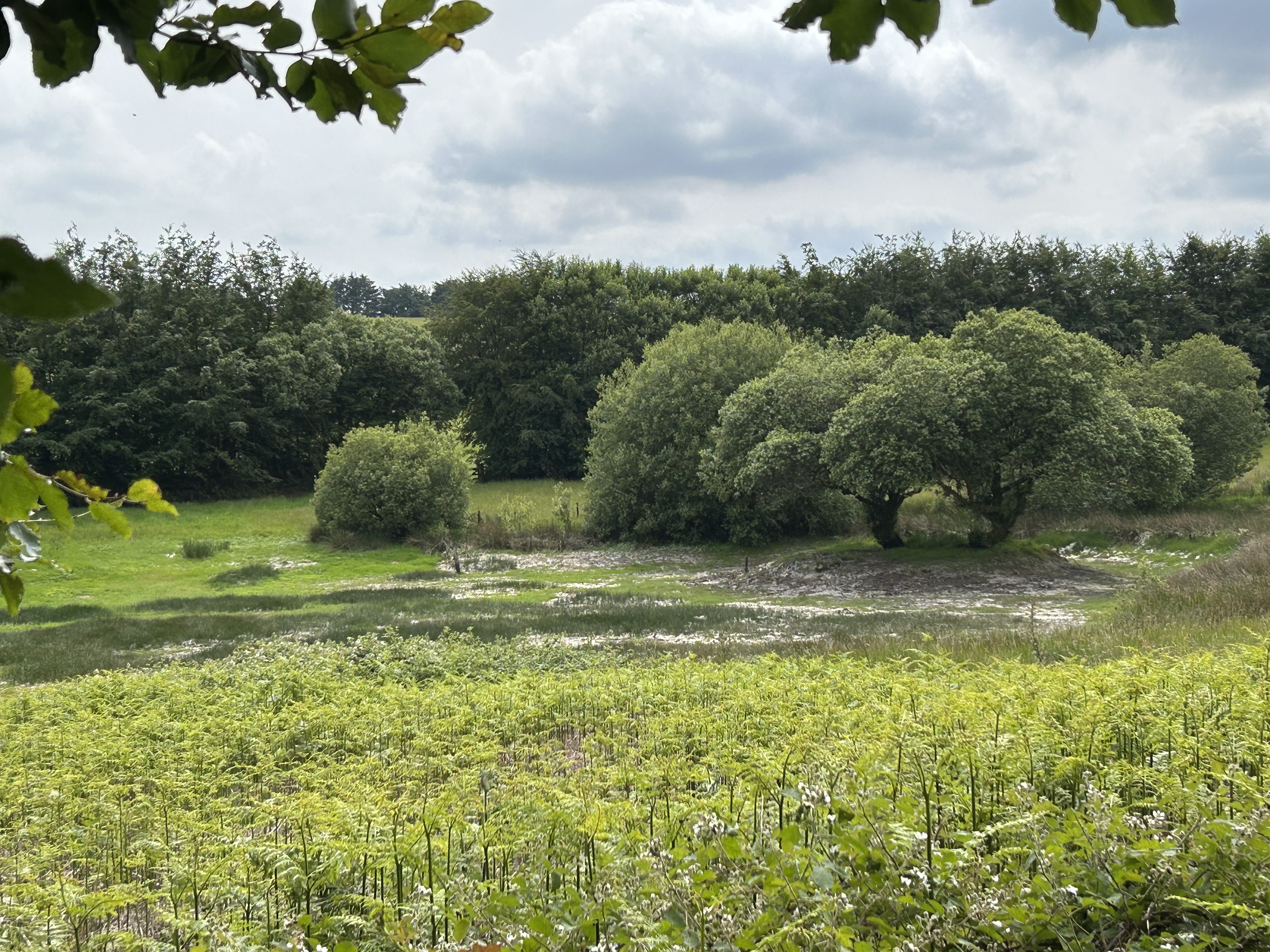 A Pilgrimage to the Source of the River Tone