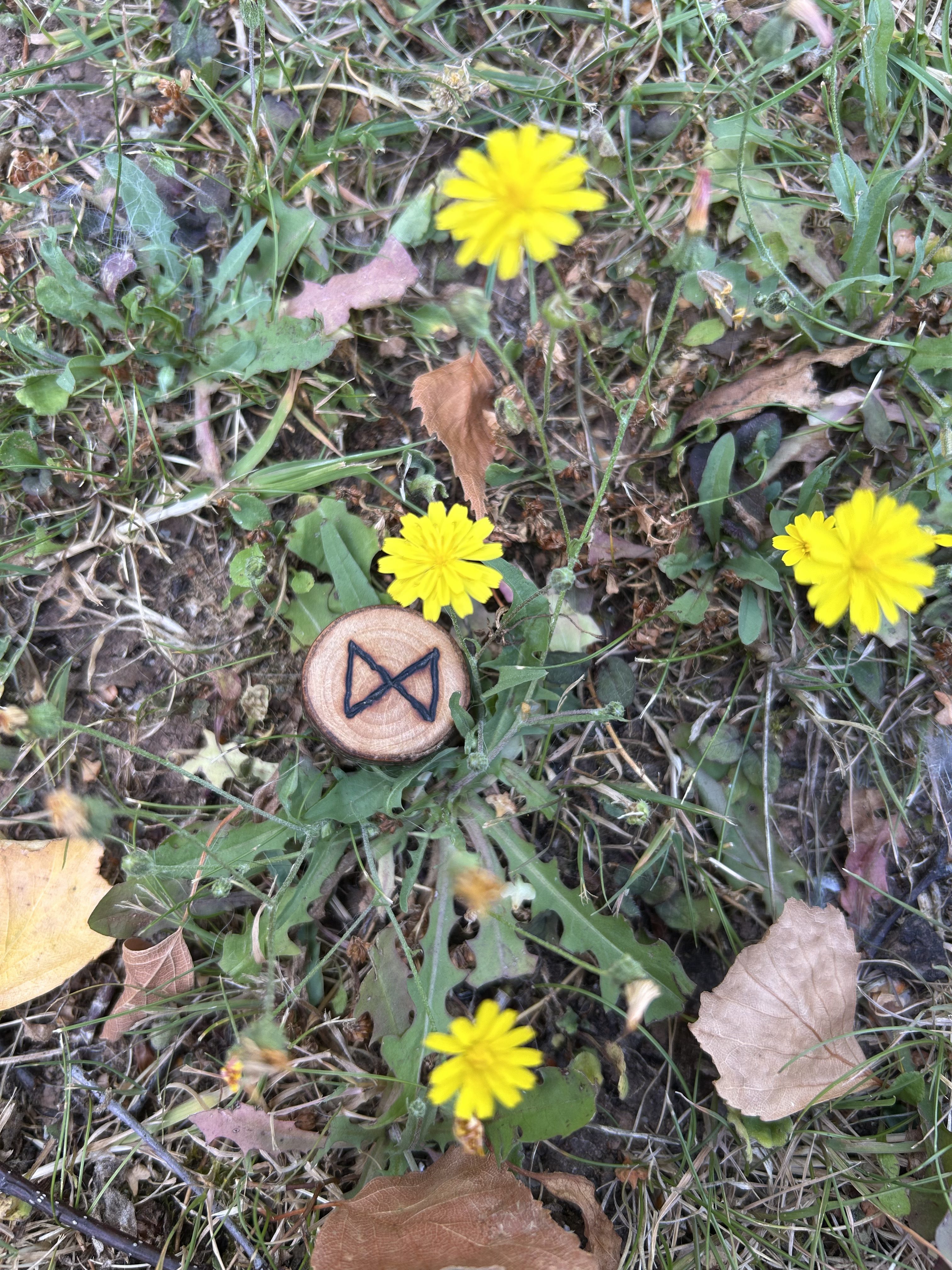 Rune for the Week